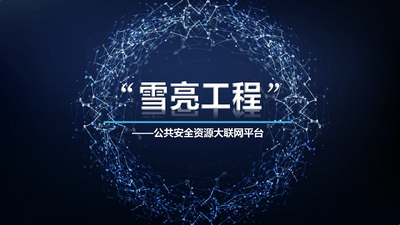 雪亮工程建設(shè)